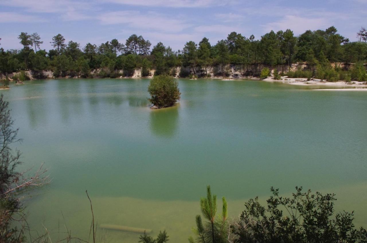Les Roulottes Vesta Villa Leognan Bagian luar foto